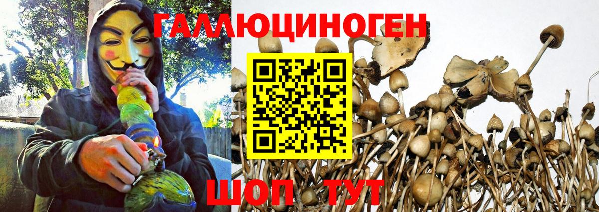 Псилоцибиновые грибы Magic Shrooms Дербент
