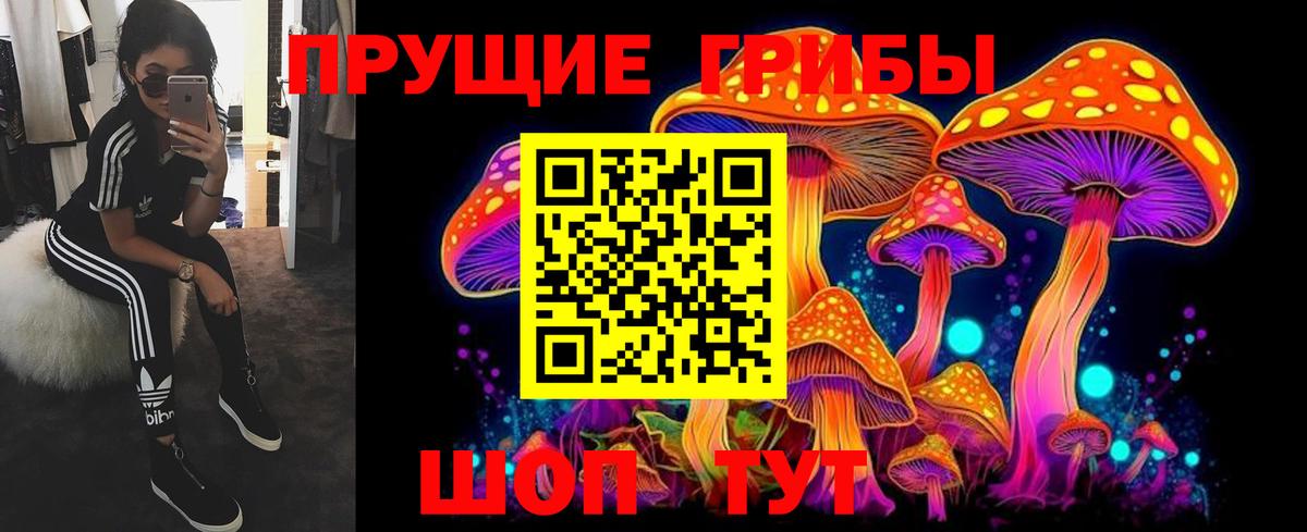 Галлюциногенные грибы MAGIC MUSHROOMS  Вход с VPN  Галлюциногенные грибы Cubensis  Дербент 